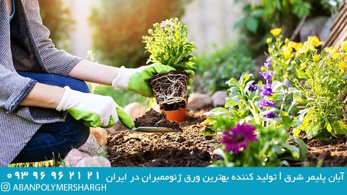 برای داشتن یک باغچه خانگی ارگانیک: مراحل و نکات,نکاتی برای داشتن یک باغچه ارگانیک در حیاط خانه,باغچه خانگی,ژئوممبران آبان پلیمر شرق,آبان پلیمر شرق,ژئوممبران