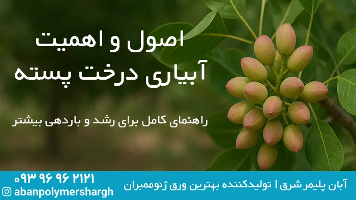 خوشه‌های رسیده پسته روی شاخه درخت، نماد اهمیت آبیاری اصولی برای افزایش باردهی, اصول و اهمیت آبیاری درخت پسته, آبیاری درخت پسته, ژئوممبران, آبان پلیمر شرق, خوشه‌های رسیده پسته روی شاخه درخت، آبیاری شده با سیستم‌های نوین و ژئوممبران آبان پلیمر شرق برای افزایش کیفیت و باردهی محصول